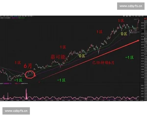 精准赛事预测与投注技巧全面解析助你稳健盈利